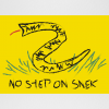 No Step On Snek Flag2