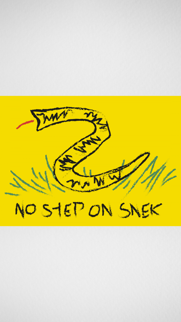 No Step On Snek Flag2
