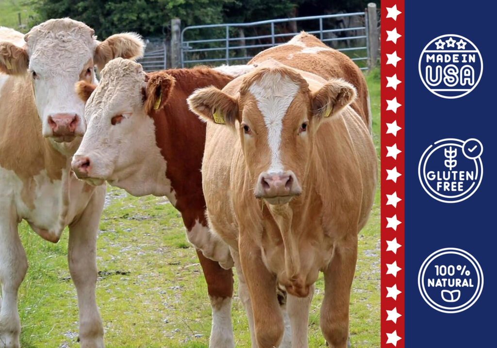 45 47 Premium Beef Jerky 5 45 47 Beef Jerky Cows